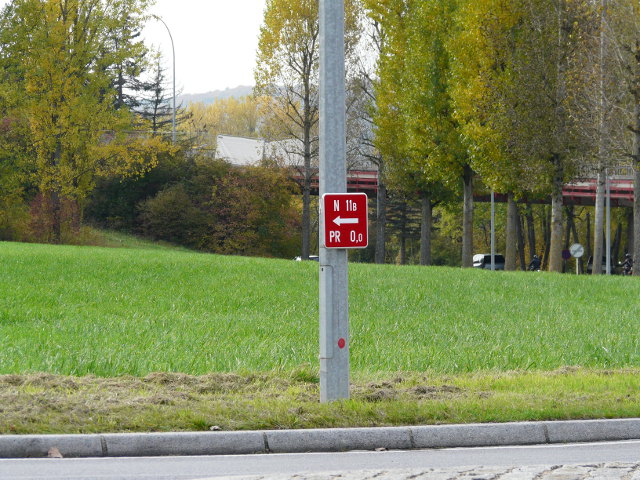 P1200239n11b