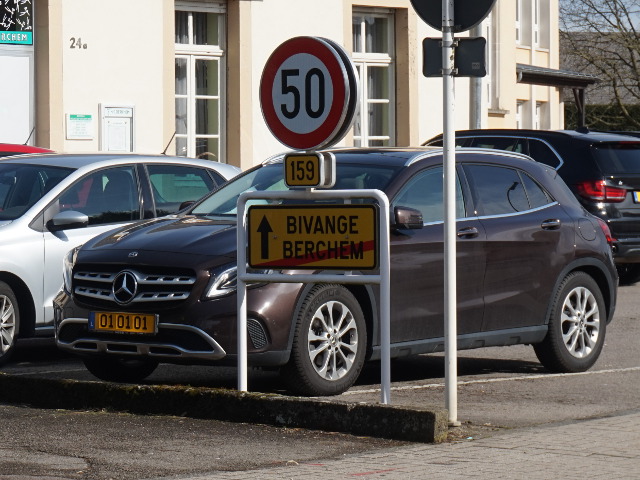 DSC03347berchem_e