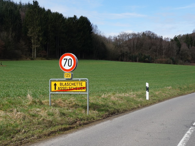 DSC03380asselscheuer_e