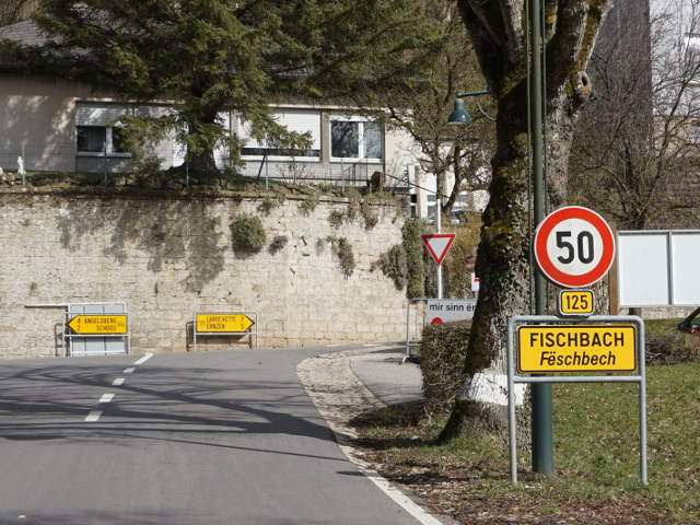 DSC03387fischbach
