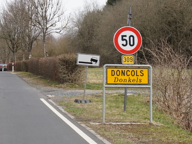 DSC03444doncols