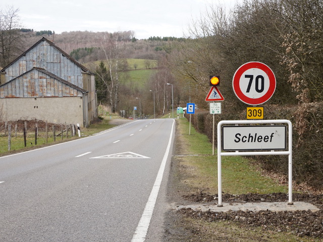 DSC03445schleef