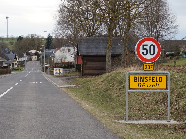 DSC03489binsfeld