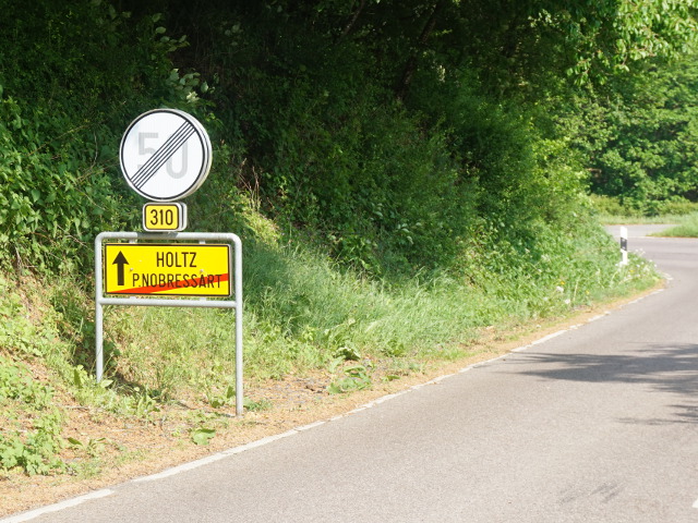 DSC04080petitnobressart_e