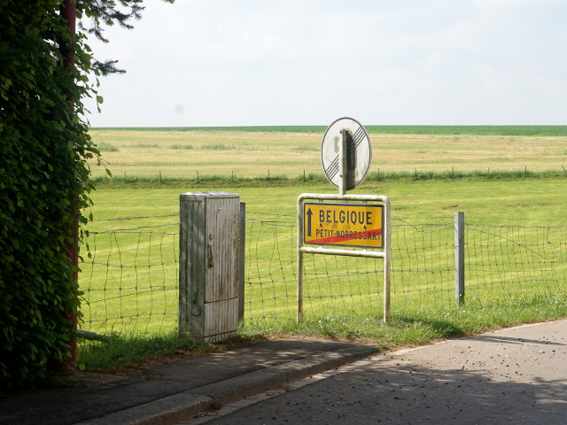 DSC04081petitnobressart_e