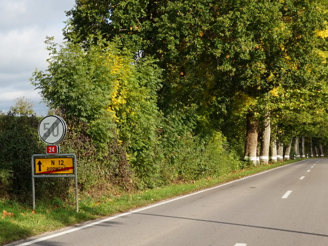 DSC05566rippweilern24n12_e