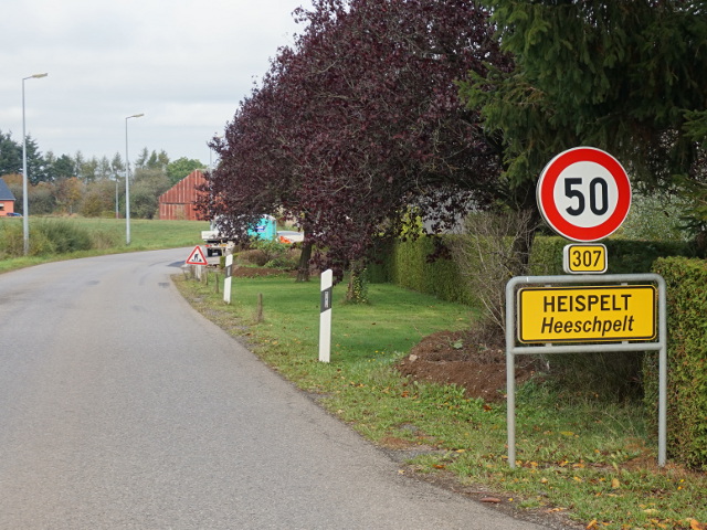 DSC05582heispeltx307