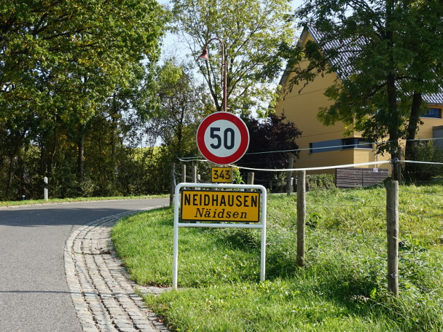 DSC05622neidhausenx343