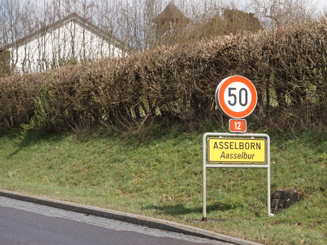 DSC07611asselbornn12