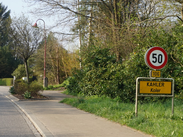 DSC07942kahlerx106