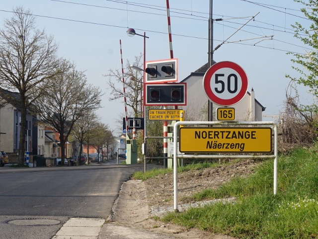 DSC07960noertzangex165