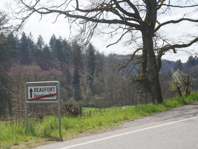 DSC08025vugelsmillen_e