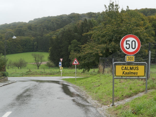 P1310551calmusx301