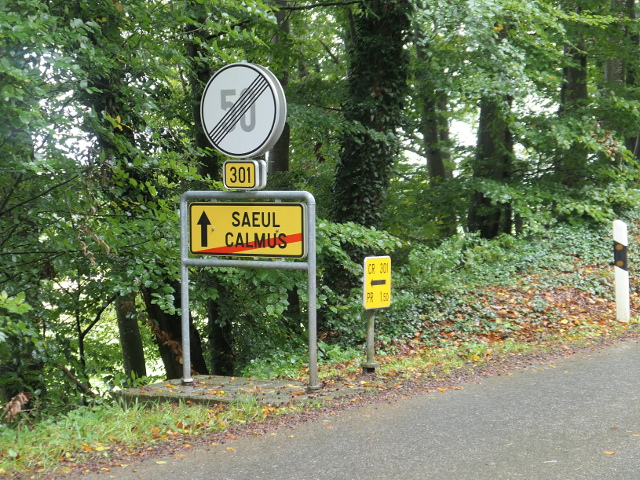 P1310552calmus_ex301