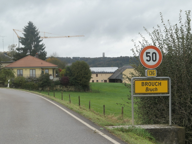 P1320268brouchbiwerx136