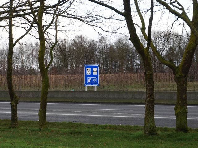 DSC07808a67ox38