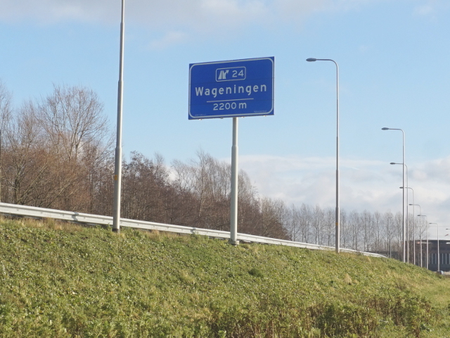 DSC00533a12o