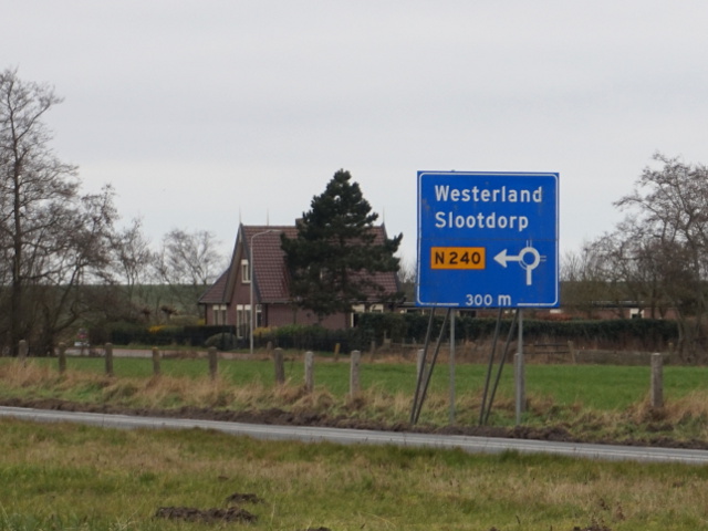 DSC06420n99wx30