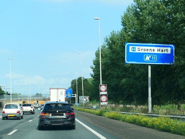 P1120535a12ox11