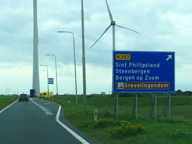 P1140170n59wx19