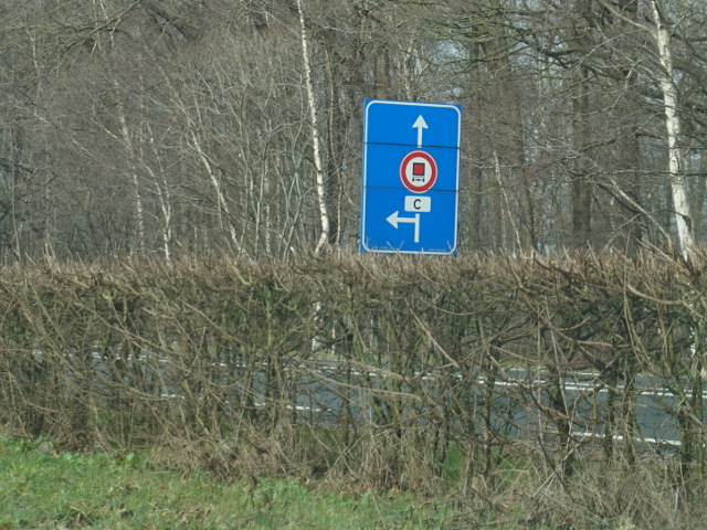DSC07555n35wx34