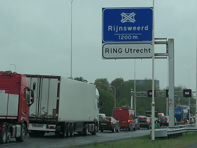 P1040463a28zrijnsweerd