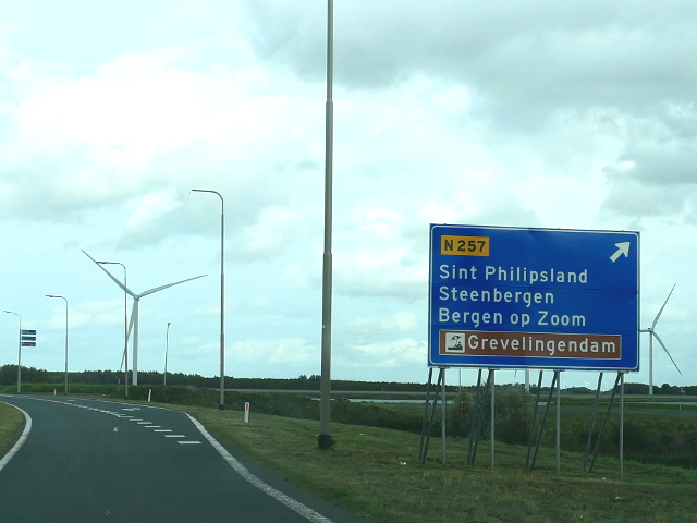 P1160311n59ox19