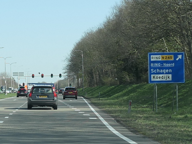 P1000697n9nx17