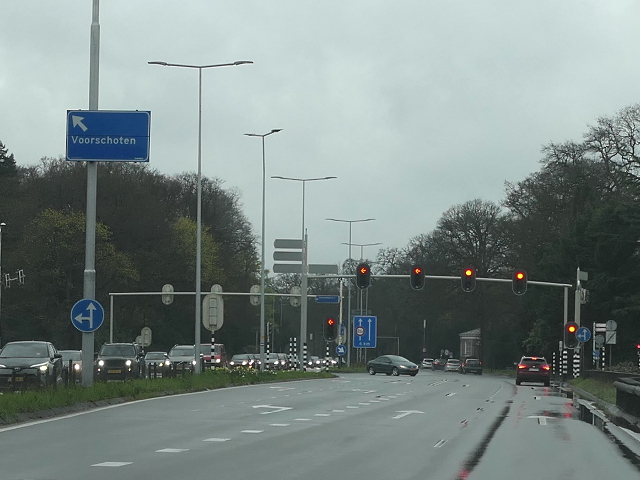 P1000909n44zx11
