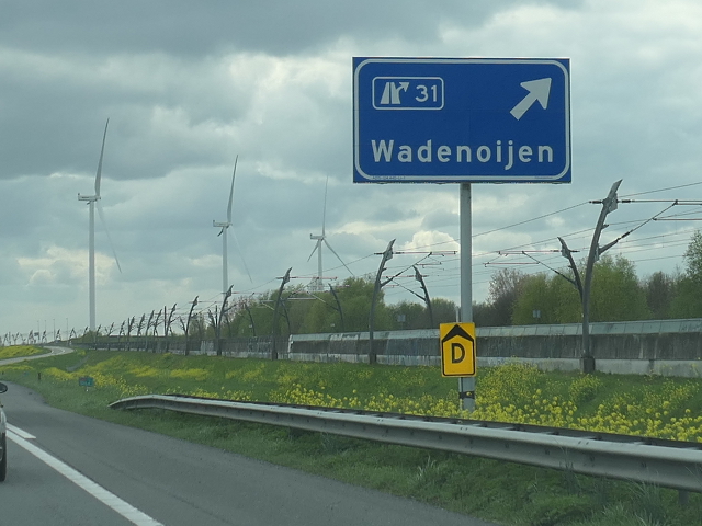 P1020778a15wx31