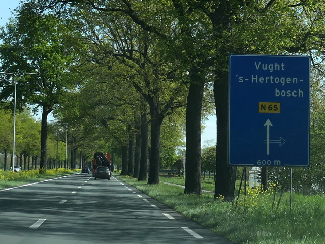 P1030332n65nx1d