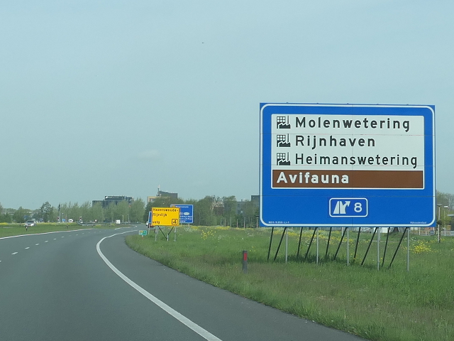 P1030600n11wx8