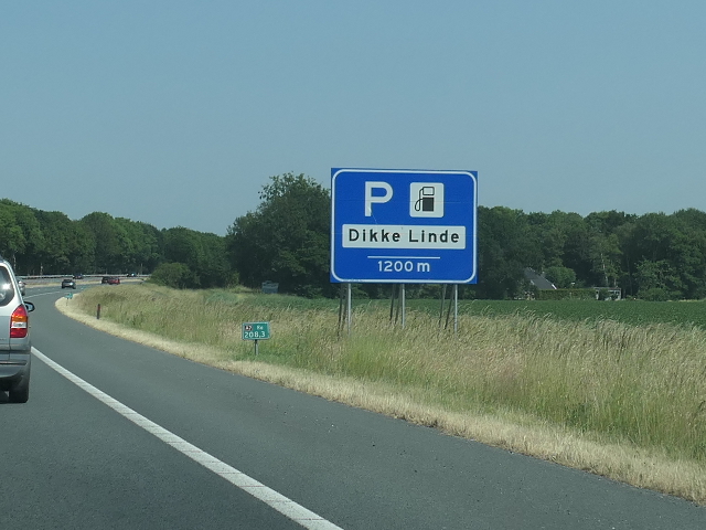 P1060695a7odikkelinde