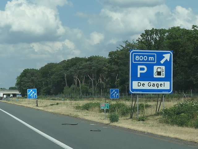 P1060999a50ndegagel