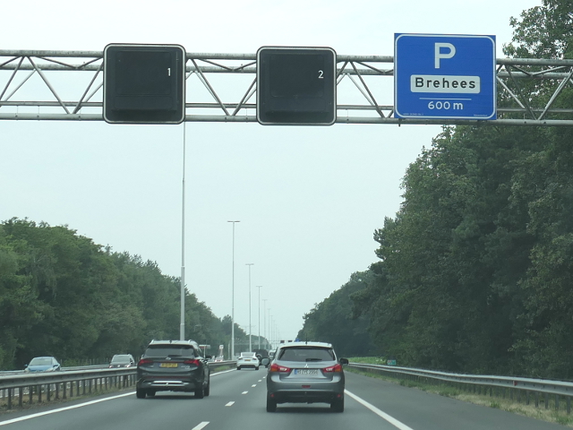 P1080616a58wbrehees