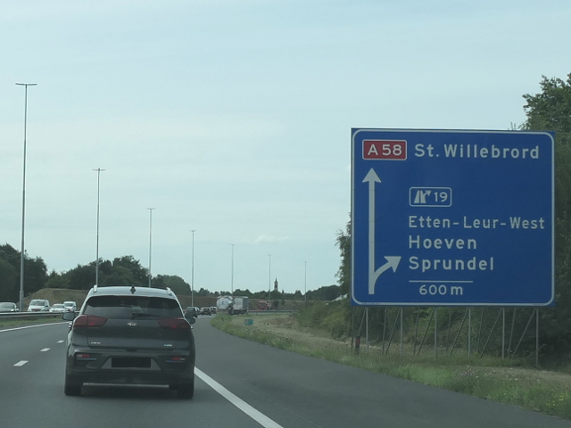 P1110084a58wx19