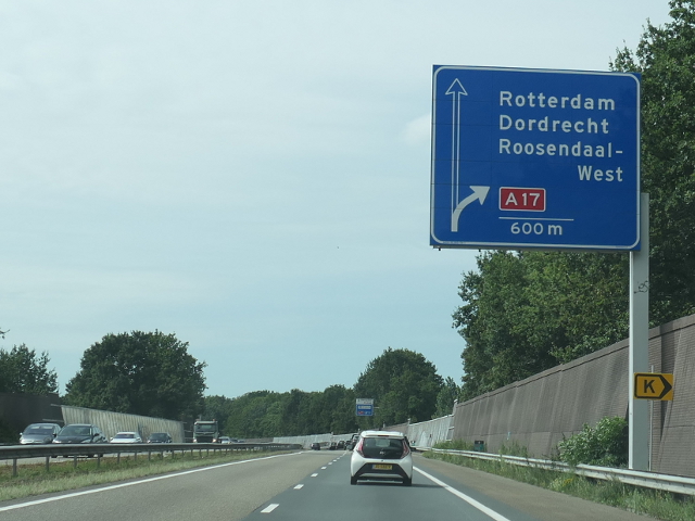 P1110108a58wdestok