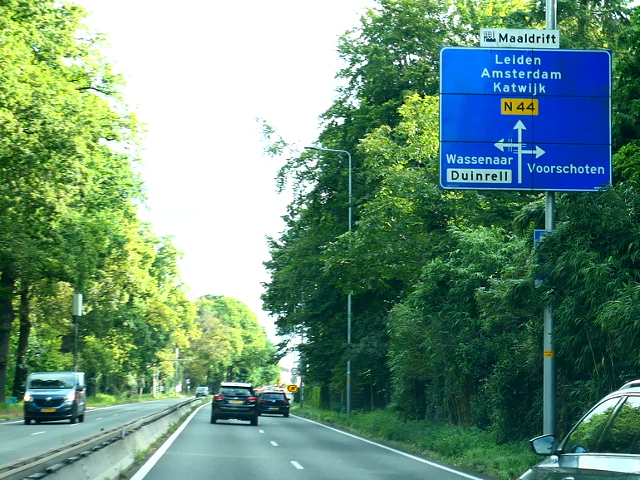 P1130546n44nx11