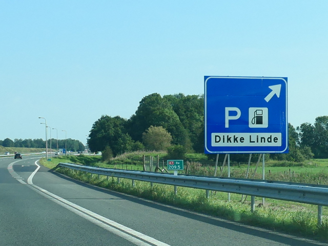 P1140003a7odikkelinde