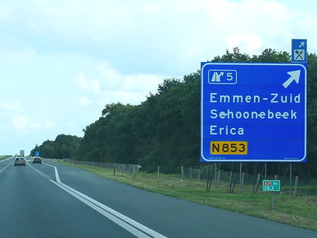 P1150882a37ox5