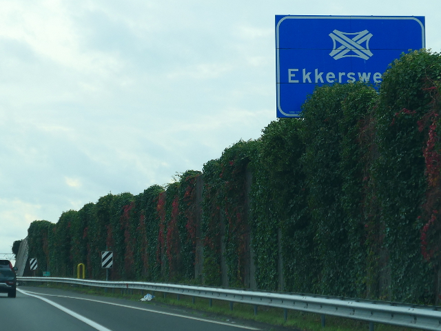 P1170787a2zekkersweijer