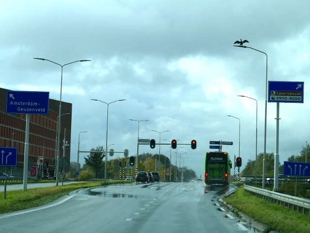 P1180224n200wx4