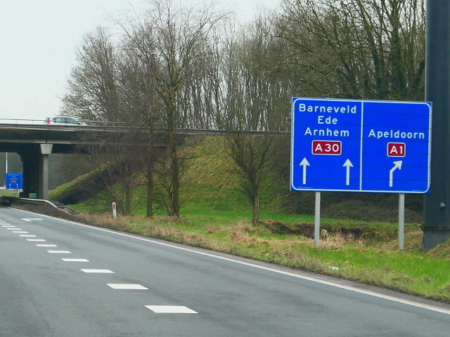 P1250234a30zknp