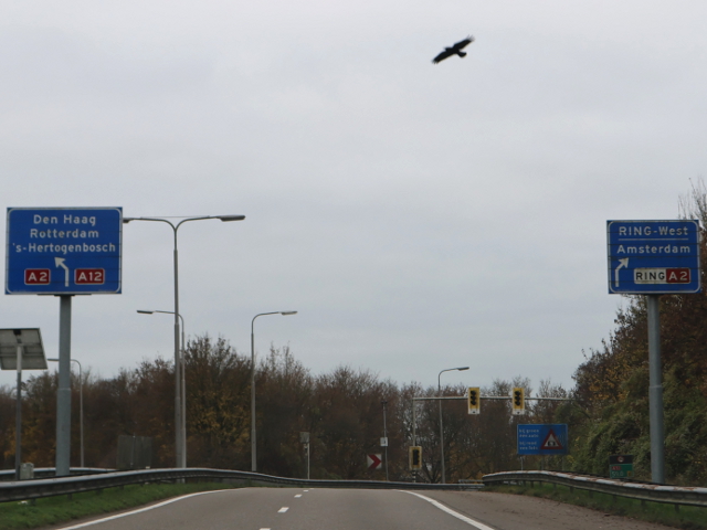 IMG_7218a12woudenrijn