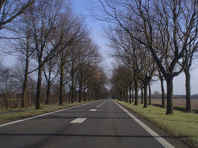 DSC08852n963beeld