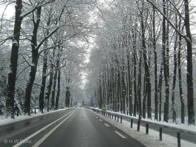 n224winterzeist