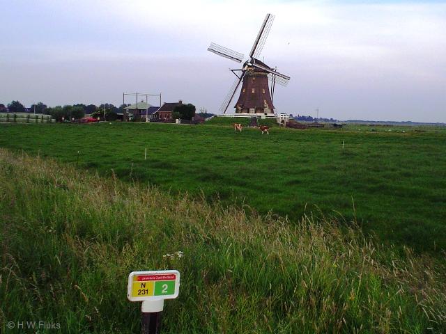 n231