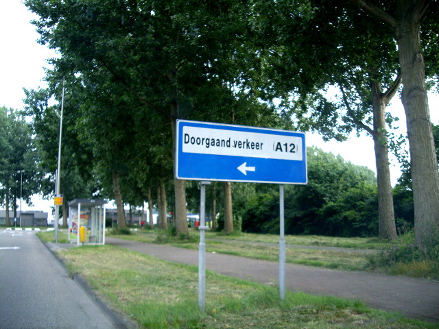 IMGP0523a12zoeterdoorg