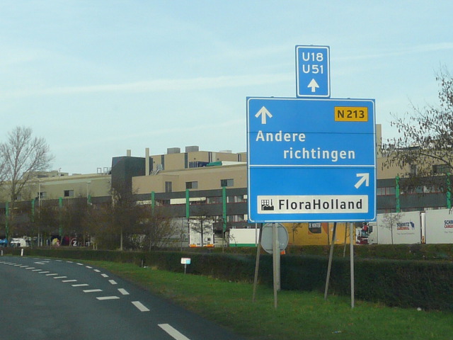 P1120657n213naaldwijk
