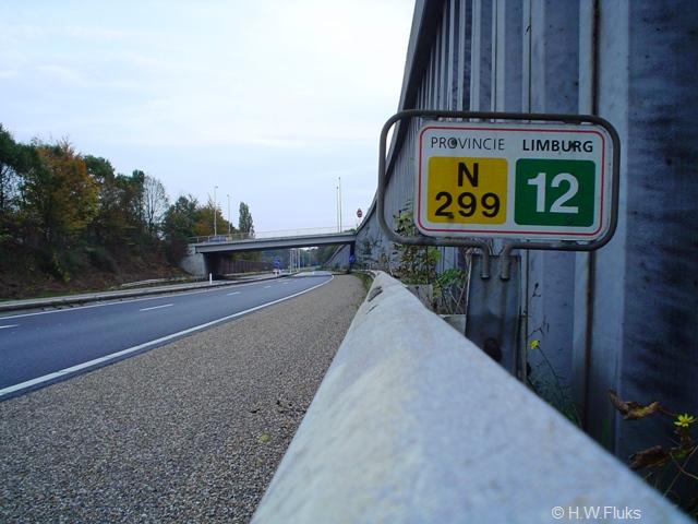 n299DSC03106